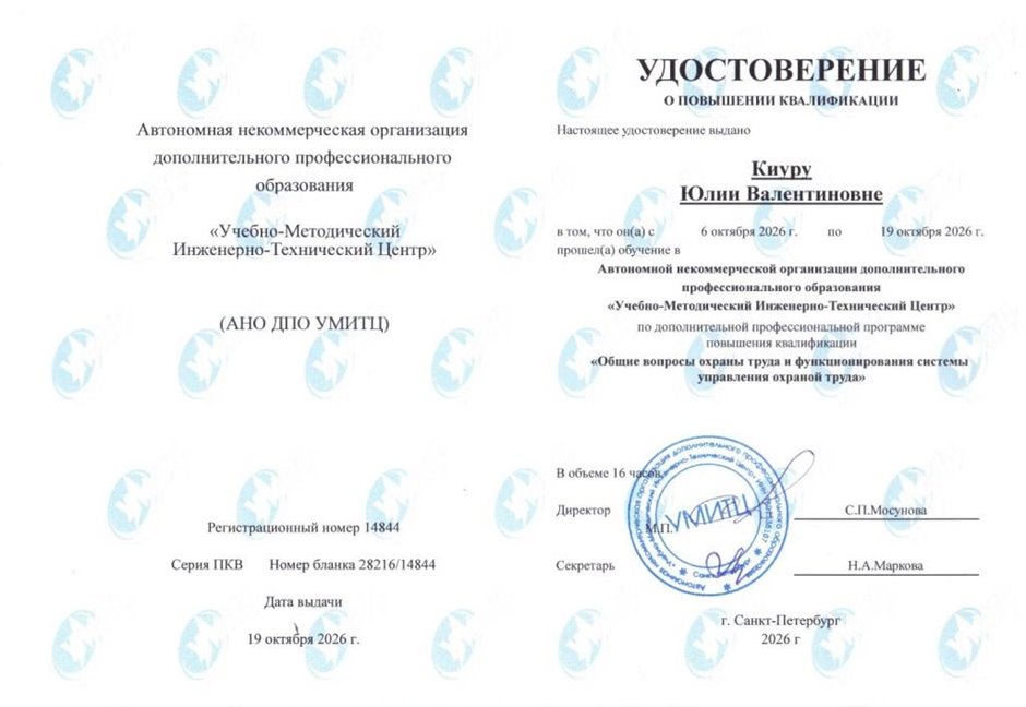 Киуру Юлия Валентиновна 2026-2027